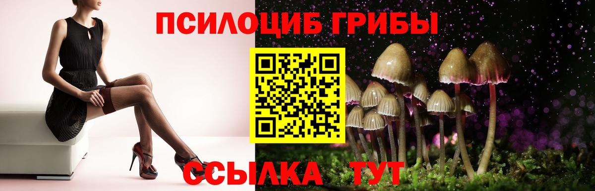 Псилоцибиновые грибы Cubensis  Вход с VPN  Чистополь 